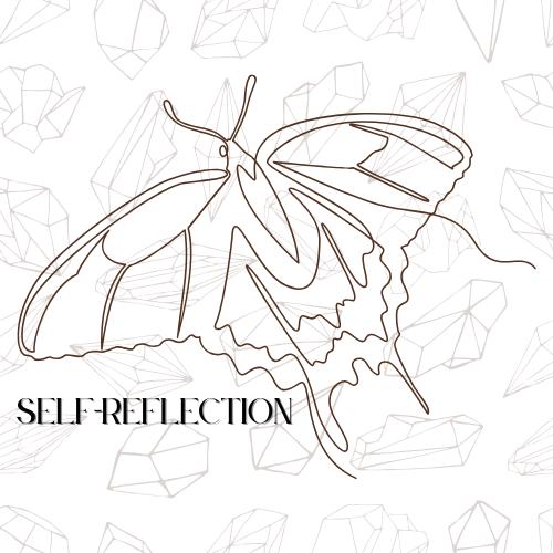 Self Reflection