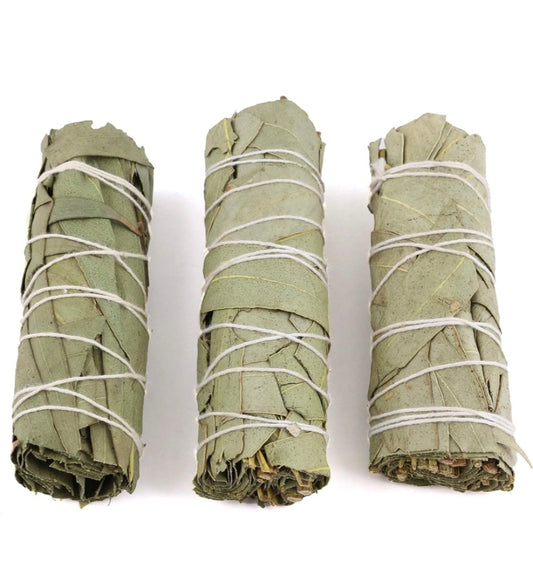 Eucalyptus