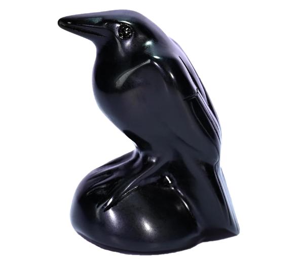 Raven
